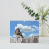 Postkarte - Schwarzes Foto auf Zaun (Stehend Vorderseite)