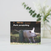 Postkarte "Schweinekratzen" (Stehend Vorderseite)