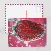 Postkarte "Schwimmfrüchte existieren" (Vorne/Hinten)