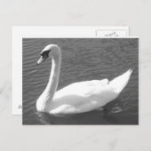 Postkarte - Schwung in Schwarz und Weiß (Vorne/Hinten)