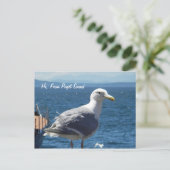Postkarte: Seagull #1 Postkarte (Stehend Vorderseite)