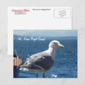 Postkarte: Seagull #1 Postkarte (Vorne/Hinten)