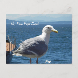 Postkarte: Seagull #1 Postkarte