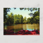 Postkarte - Siehe mit Paddelbooten (Vorderseite)