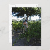 Postkarte, Skarte im Canyon Peachy Postkarte (Vorne/Hinten)