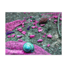 Postkarte "SnailShell"