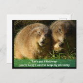Postkarte: Snarky Prairie Dogs Postkarte (Vorne/Hinten)