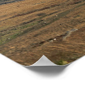 Postkarte Snowden North Wales Poster (Ecke)