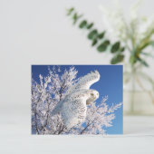 Postkarte "Snowy Owl" (Stehend Vorderseite)
