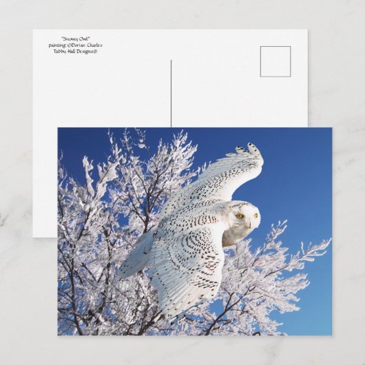 Postkarte "Snowy Owl" (Vorne/Hinten)