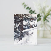 Postkarte "Snowy Pine" (Stehend Vorderseite)