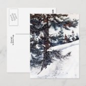 Postkarte "Snowy Pine" (Vorne/Hinten)