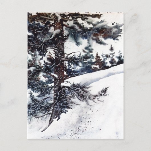 Postkarte "Snowy Pine" (Vorderseite)