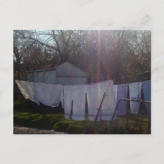 Postkarte "Soaking up Sun" (Vorderseite)