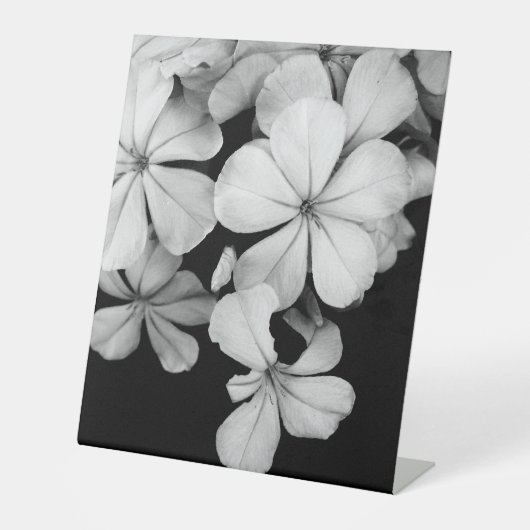 Postkarte Sockelschild (Vorderseite)