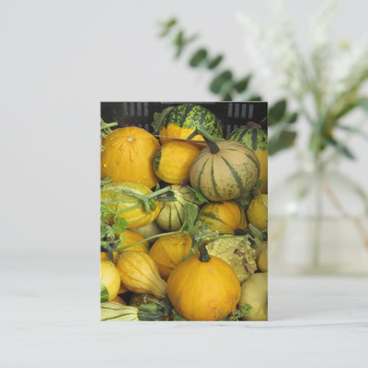Postkarte - SommerSquash (Stehend Vorderseite)