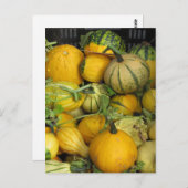Postkarte - SommerSquash (Vorne/Hinten)