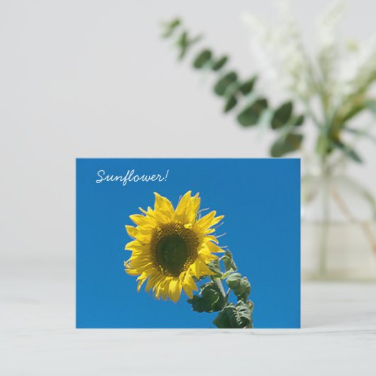 Postkarte - Sonnenblume! (Stehend Vorderseite)