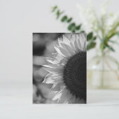 Postkarte Sonnenblume auf dem Feld BW (Stehend Vorderseite)