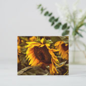 Postkarte Sonnenblume Eleganz (Stehend Vorderseite)