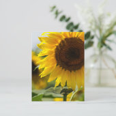 Postkarte - Sonnenblume Sommer Vibranz (Stehend Vorderseite)