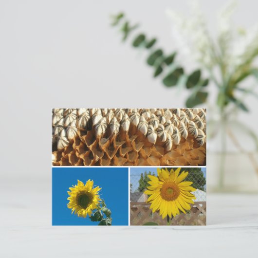 Postkarte - Sonnenblumen (Stehend Vorderseite)