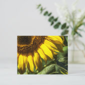 Postkarte - Sonnenblumen-Geheimnisse (Stehend Vorderseite)