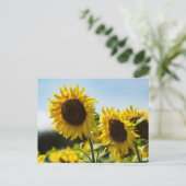 Postkarte - Sonnenblumen Sommerglanz (Stehend Vorderseite)