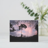 Postkarte: Sonnenuntergang-Welt Florida Postkarte (Stehend Vorderseite)