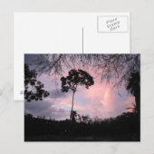 Postkarte: Sonnenuntergang-Welt Florida Postkarte (Vorne/Hinten)