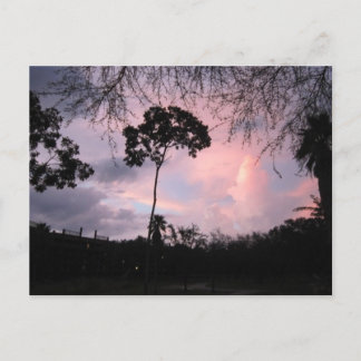 Postkarte: Sonnenuntergang-Welt Florida Postkarte