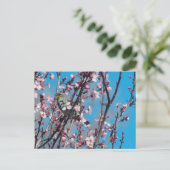 Postkarte - Spatz im Frühling (Stehend Vorderseite)