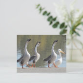 Postkarte: Spaziergang am Lakeside Postkarte (Stehend Vorderseite)