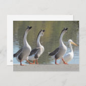 Postkarte: Spaziergang am Lakeside Postkarte (Vorne/Hinten)