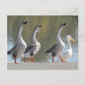Postkarte: Spaziergang am Lakeside Postkarte (Vorderseite)
