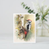 Postkarte. Specht Postkarte (Stehend Vorderseite)