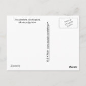 Postkarte - Spottdrossel (Rückseite)