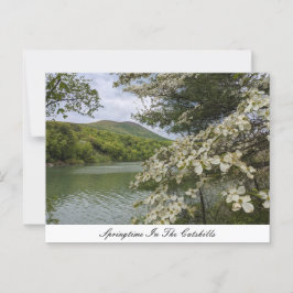 Postkarte "Springtime in Catskills"