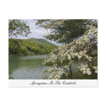 Postkarte "Springtime in Catskills"