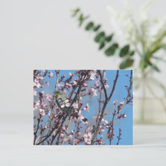 Postkarte - Springtime-Sparrow (Stehend Vorderseite)