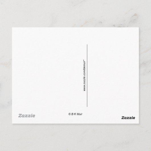 Postkarte - Springtime-Sparrow (Rückseite)