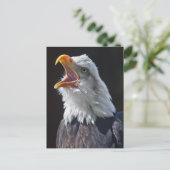 Postkarte Squawa (Stehend Vorderseite)