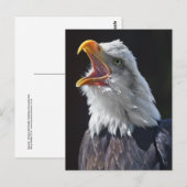 Postkarte Squawa (Vorne/Hinten)