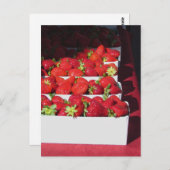 Postkarte - Srawberry-Körbe (vrt) (Vorne/Hinten)