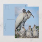 Postkarte "Stork Family" (Vorne/Hinten)