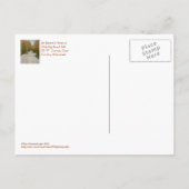 Postkarte, STRASSE VOLLSTÄNDIG VON "S" KURVEN/TÜR  Postkarte (Rückseite)