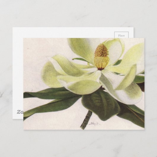 Postkarte Süd-Magnolien (Vorne/Hinten)