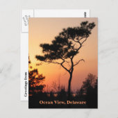 Postkarte "Sunset Ocean View" (Vorne/Hinten)