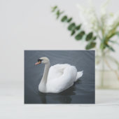 Postkarte - Swan (Stehend Vorderseite)