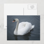 Postkarte - Swan (Vorne/Hinten)